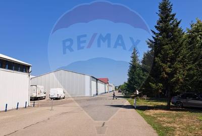 Hala industrială depozitare 1.000 mp de închiriat – Centura București - 5