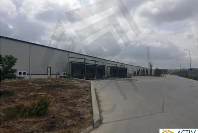 DEPOZIT TEMPERATURA CONTROLATA ALUTI & VALSI COLD STORAGE - 5