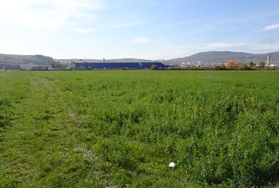 Vand teren intravilan in Deva suprafata totala 43 000 mp, zona Auchan - 1