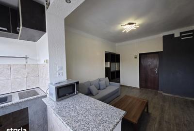 Apartament cu 2 camere de inchiriat in zona Cismigiu - 4