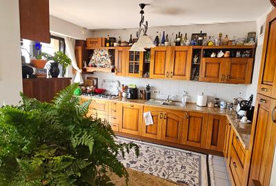 Penthouse - vanzare 4 camere - Central Park - 8