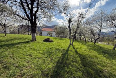 Teren intravilan 1355 mp in zona Bran, judetul Brasov - 11