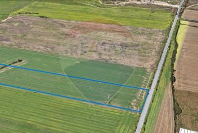Teren comercial 5 ha, PUZ aprobat, acces direct Centura Nord Arad - 3