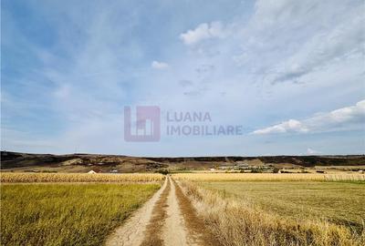 Teren extravilan 6.000 mp de vanzare | Sibiu - Daia | priveliste spectaculoasa - 1