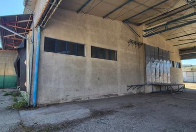 Spațiu Industrial și Logistic - 19