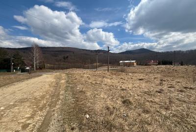 VANZARE PADURE MANECIU -CHEIA,  40HA - 3