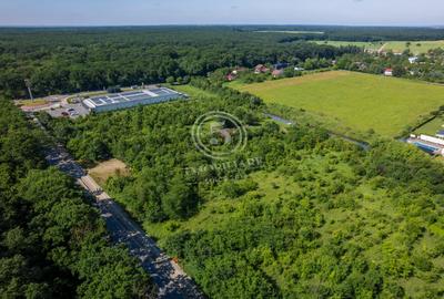 Teren 5.515 mp lângă Lidl Snagov – Ieșire la Lacul Snagov - 11