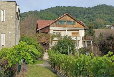 Duplex cu 4 camere în Săsar