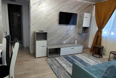 Apartament cu 2 camere semidecomandat, mobilat în Viziru 1