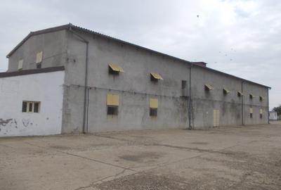 Fabrică de nutrețuri combinate - 8