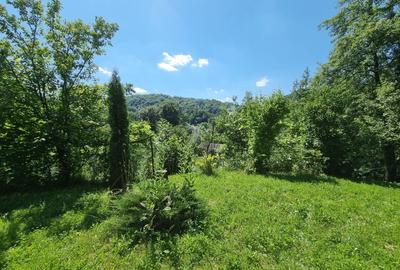 Casa de la marginea padurii! - 12