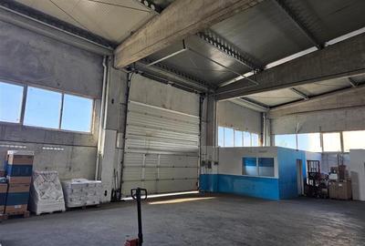 Vanzare depozit/hala/spatiu industrial Domnesti - Clinceni - Bragadiru - Centura - 3
