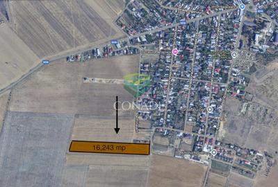Teren Construcții intravilan de 16234 mp, în Cernica