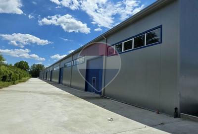 Hala industriala noua de inchiriat 9700 MP 600 KVA pret tva inclus - 7