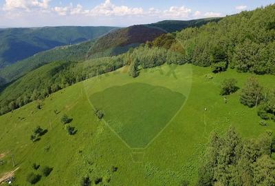 COM 0% Teren extravilan 9,025mp Marisel cu o priveliste spectaculoasa - 8