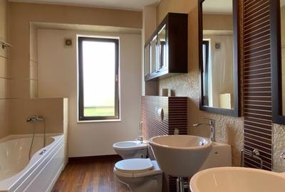 Villa garden Pipera OMV - 9