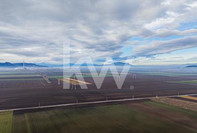 Teren exceptional pentru investitii industriale langa Brasov - 4