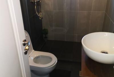 Vanzare/inchiriere duplex Trivale, mobilat, teren 300mp - 13