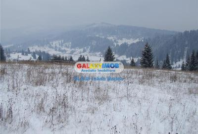 Teren pentru Complex Turistic - 12 730 mp  - Vatra Dornei - 7