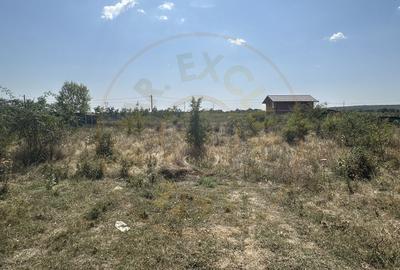 Teren Intravilan Magic Trivale - Aleea Bradului  1040 mp - 1