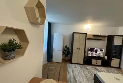 Apartament cu 1 camera in Podul De Piatra - 4