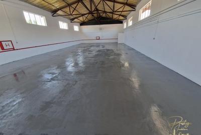 Proprietate industriala renovata | 2 hale de vanzare in zona Seleus - 4