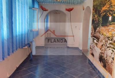 Vanzari Case / vile Giurgiu - 11