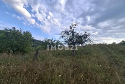 Teren spectaculos cu padure, livada si priveliste panoramica in Soimari PH - 14