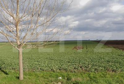 Teren Construcții extravilan de 15000 mp, în Exterior Est