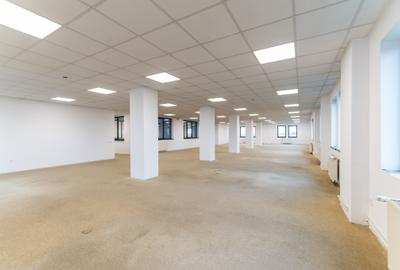 Atomistilor, de inchiriat spatii de birouri finisate modern, 400 mp! - 12