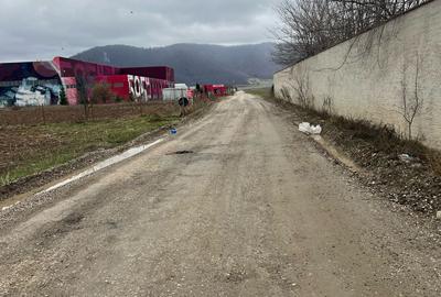 Teren intravilan, 6000 mp, Ghimbav - 3