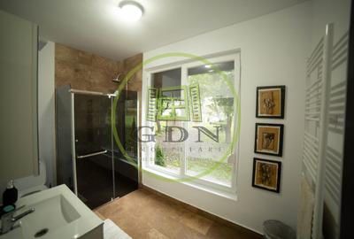 Cabane de vânzare Reghin Deda - Bistra Mureșului - 18