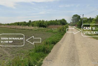 Proprietar - Teren Unicat  Peris - Intravilan - 31.100 mp - Utilitati - 3