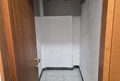 De vanzare Vila individuala, 9 camere, Mosilor - Eminescu, sector 2 - 17