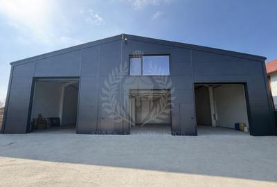 Hala depozitare/ productie 250 mp de inchiriat, Tatarani, acces TIR - 1