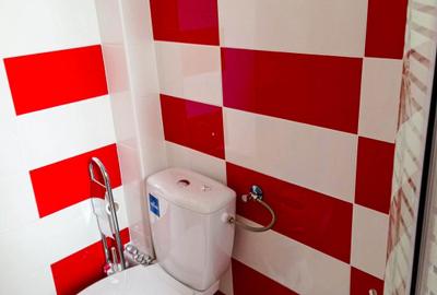 2 Camere | Bucurestii Noi | Bazilescu | Pajura | Damaroaia - 9