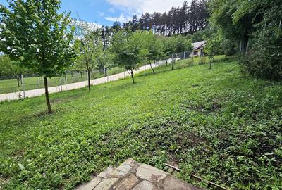 Vila noua-Sanpetru Dealul Lempes, zona verde si linistita - 23