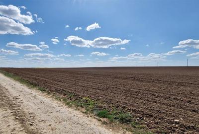 RECO Teren extravilan in Oradea 13000mp - 2