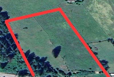 Teren intravilan 15.000 mp cu panorama montana | 1 km Parcul Calimani Pret neg - 1