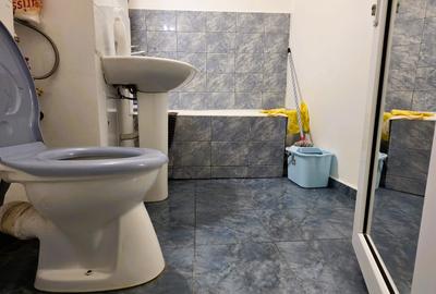 APARTAMENT 2 CAMERE STR GARII-FALEZA - 4