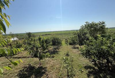 De vânzare casa Tichilesti noua - 4