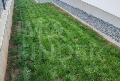 Vanzare Casă  Valea Seaca - Popesti -Corusu - 7
