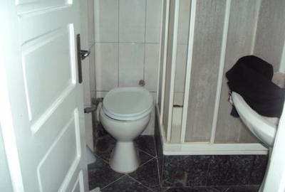 Inchiriere casa D+P+M, mobilata, utilata, Corunca - 11