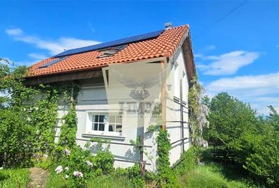 Casa cu vedere spre M-tii Fagaras | Intimitate totala | Daia Noua - 16