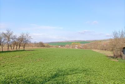 Vanzare teren intravilan parcelabil, in localitatea Rascruci - 6