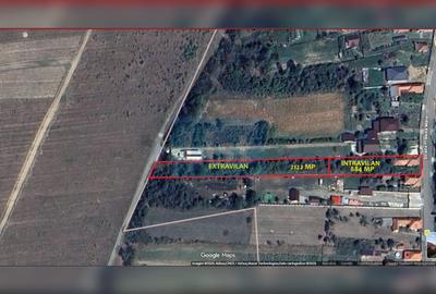 Casa + teren 3.006 mp – intravilan + extravilan | Preajba Mare - 3