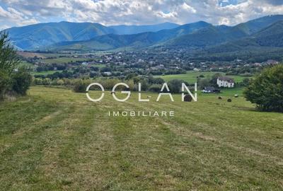 Teren Tocile (parcelabil) 3500 mp - 5