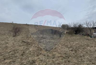 Teren intravilan 2307 mp în Salicea, zona premium, aproape de Cluj - 15