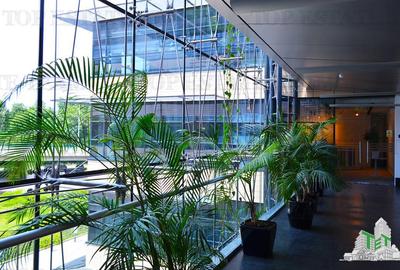 Birou, de 543 mp, în Băneasa