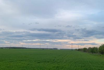 DJ200  Stefanesti de Jos / Dascalu    - Targoviste Gaesti  Vanzare  Teren - 4